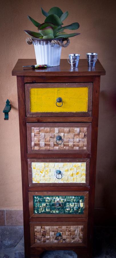 Il Rustichello Apartment Pisa Exterior photo
