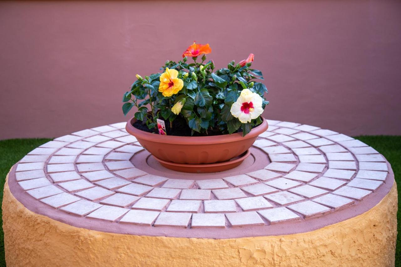 Il Rustichello Apartment Pisa Exterior photo