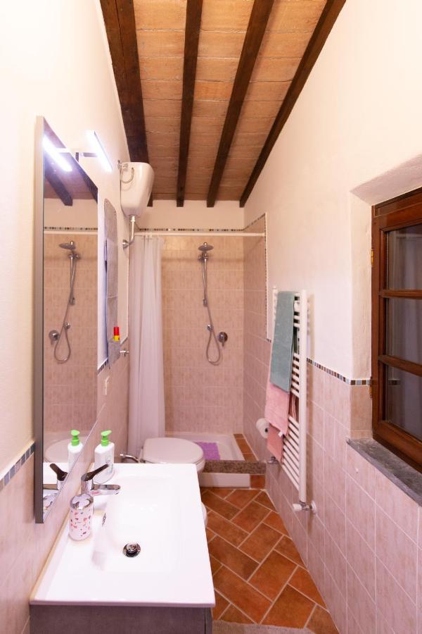 Il Rustichello Apartment Pisa Exterior photo