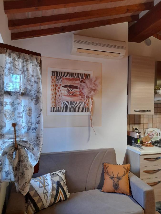 Il Rustichello Apartment Pisa Exterior photo