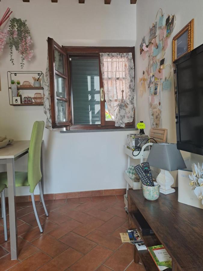 Il Rustichello Apartment Pisa Exterior photo