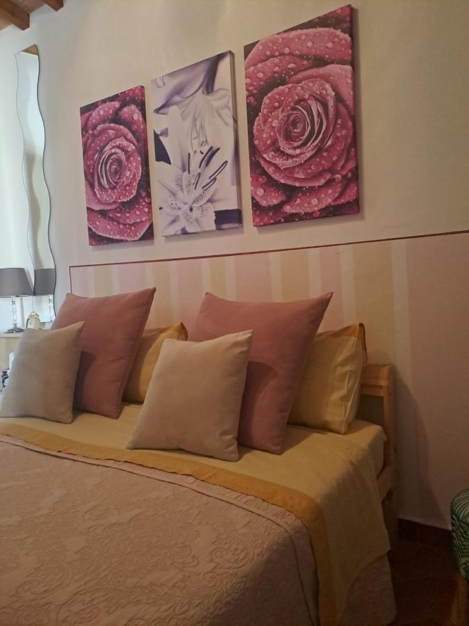 Il Rustichello Apartment Pisa Exterior photo